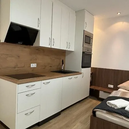 Lenti Duesseldorfer Apartment's ホームステイ デュッセルドルフ