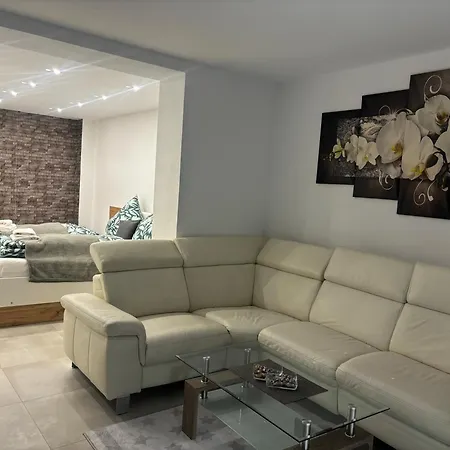 民宿 Lenti Duesseldorfer Apartment's 杜塞尔多夫